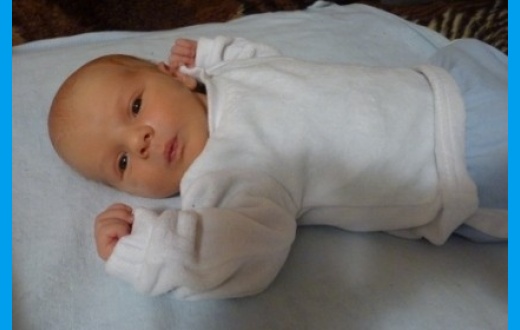 Gregor